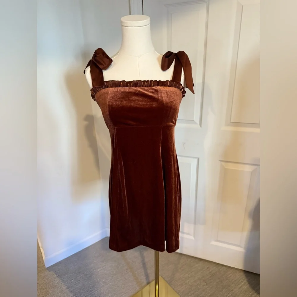 Danielle Bernstein dark burnt orange velvet mini dress - NWT - S - Picture 2 of 15